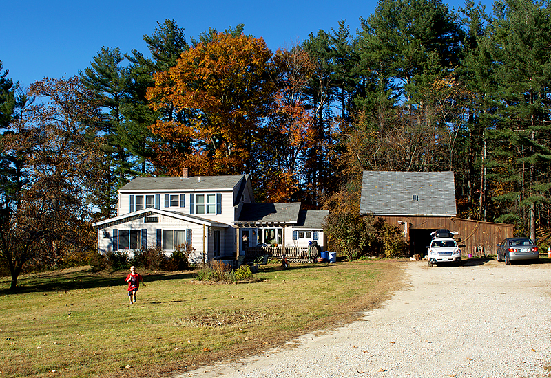 House Sit #6