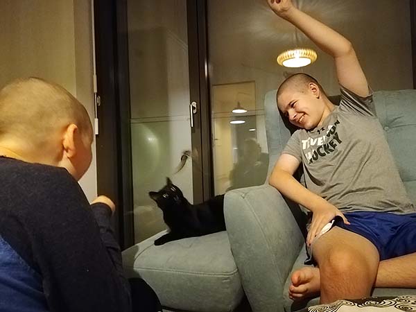 mde